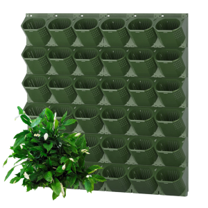 Vertical Hydroponics Wall