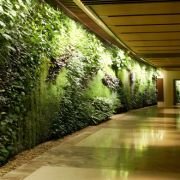 Hydroponics Vertical Wall Garden by INHYDRO – Compact, Eco-Friendly Urban Farming System