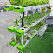 48 Plant Vertical Outdoor Hydroponic System
