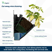 Vertical Hydroponics Wall Garden – Indoor & Outdoor Living Green Wall System for Home, Balcony & Office | Easy-Install Hydroponic Panels