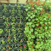 Vertical Hydroponics Wall Garden – Indoor & Outdoor Living Green Wall System for Home, Balcony & Office | Easy-Install Hydroponic Panels