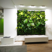 Vertical Hydroponics Wall Garden – Indoor & Outdoor Living Green Wall System for Home, Balcony & Office | Easy-Install Hydroponic Panels