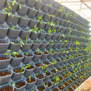 Vertical Hydroponics Wall Garden – Indoor & Outdoor Living Green Wall System for Home, Balcony & Office | Easy-Install Hydroponic Panels