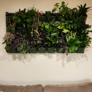 Vertical Hydroponics Wall Garden – Indoor & Outdoor Living Green Wall System for Home, Balcony & Office | Easy-Install Hydroponic Panels