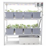 16 Dutch Bucket Indoor Vertical Hydroponics System with Aluminium Structure