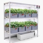 16 Dutch Bucket Indoor Vertical Hydroponics System with Aluminium Structure