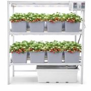 16 Dutch Bucket Indoor Vertical Hydroponics System with Aluminium Structure