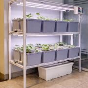 16 Dutch Bucket Indoor Vertical Hydroponics System with Aluminium Structure