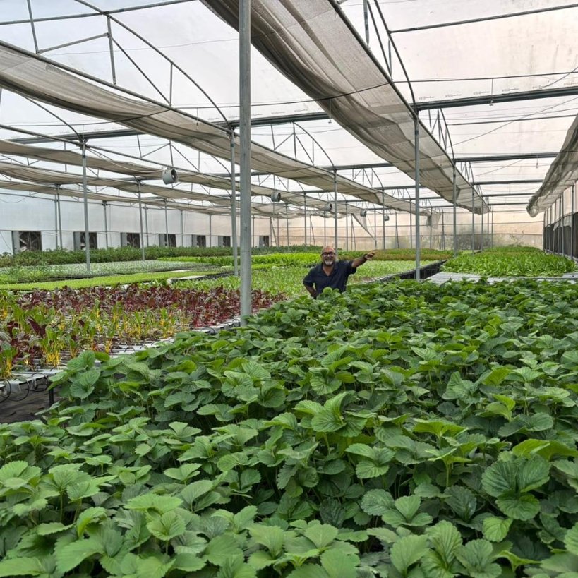 NFT hydroponics channels with nutrient solution flow