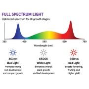 150W LED Grow Light Panel for Hydroponics