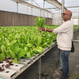 1500 SQM NFT Hydroponics Farm in Greater Noida | NHB