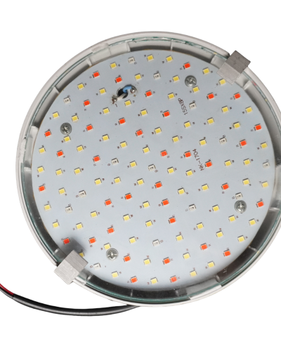 INHYDRO 15W FULL SPECTRUM LED GROW LIGHT (CIRCULAR) – INDOOR PLANTS & HYDROPONICS