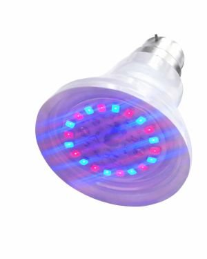 Grow Light Bulbs for Hydroponic Systems & Home Gardens