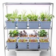 16 Dutch Bucket Hydroponics System for Indoor Home & Office