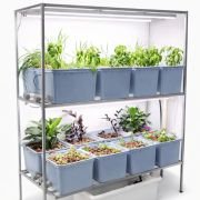 16 Dutch Bucket Hydroponics System for Indoor Home & Office