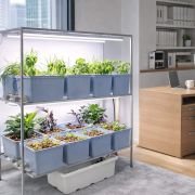 16 Dutch Bucket Hydroponics System for Indoor Home & Office
