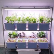 16 Dutch Bucket Hydroponics System for Indoor Home & Office