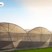 Inhydro Dome Shape Shade Net House (NHB & MIDH Compliant)