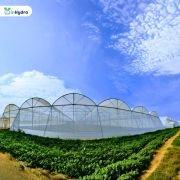Inhydro Dome Shape Shade Net House (NHB & MIDH Compliant)