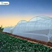 Inhydro Dome Shape Shade Net House (NHB & MIDH Compliant)