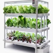 96 Plant Indoor Hydroponic System with Aluminum Structure