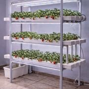 96 Plant Indoor Hydroponic System with Aluminum Structure