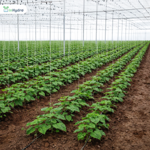 ChatGP Image Feb 10 2026 05_49_02 PM