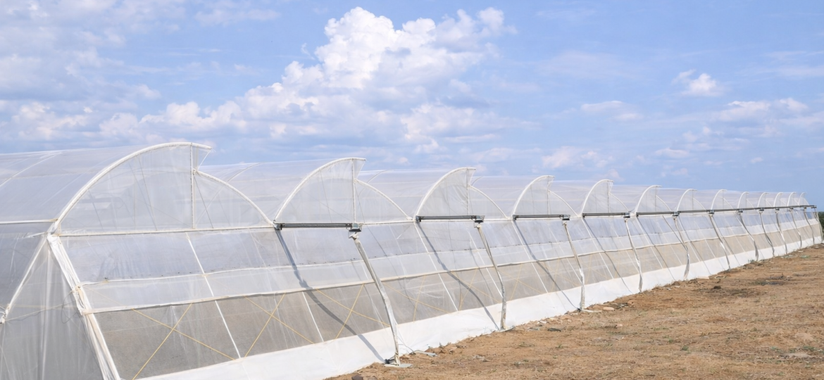 ChatGPT Image Feb 16 2026 12_39_22 PM