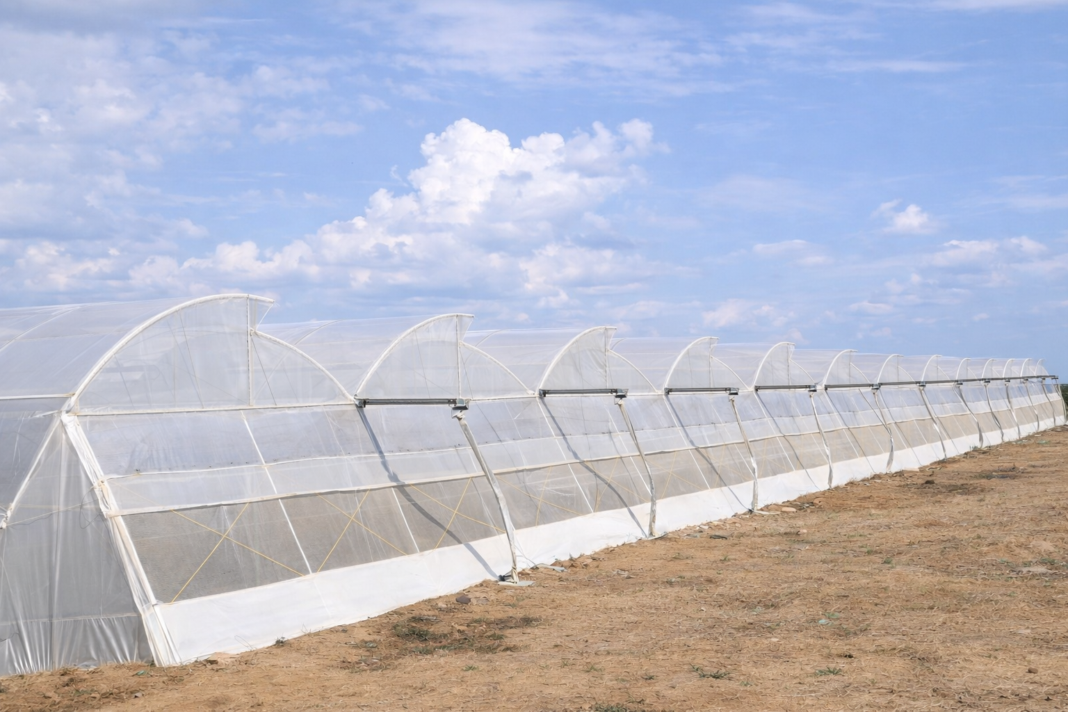 ChatGPT Image Feb 16 2026 12_39_22 PM