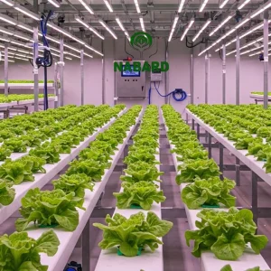 NFT Hydroponic Systems & Accessories