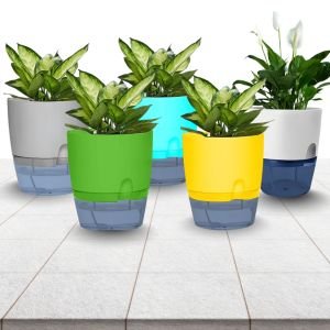 Hydroponics Wick Pots