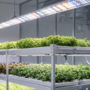 InHydro Micro Indoor NFT Hydroponic System