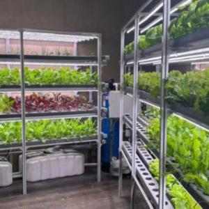 InHydro Micro Indoor NFT Hydroponic System