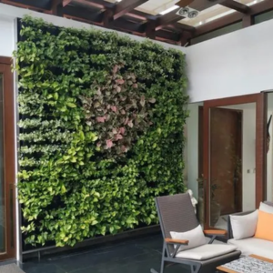 Hydroponics Wall Setup