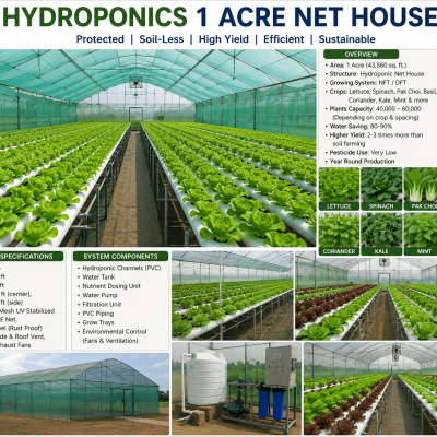 Hydroponic farming in a 1 acre net house for high-yield vegetable cultivation