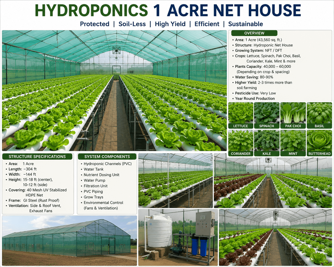 Hydroponic farming in a 1 acre net house for high-yield vegetable cultivation