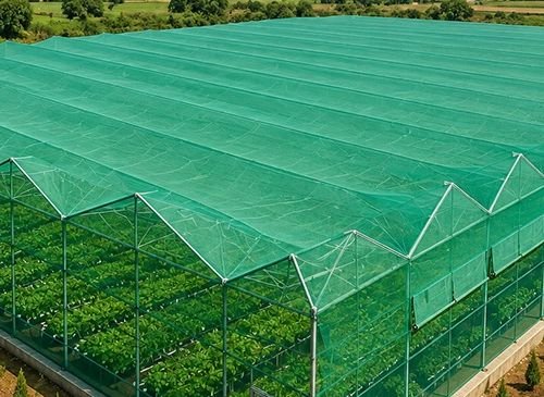Large commercial greenhouse with a green mesh cover over rows of plants inside a long, pitched-roof structure.