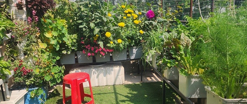 Outdoor garden with potted flowering plants on tiered shelves and a red plastic stool on grass.