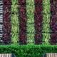 Vertical garden wall made of rectangular planters with green, purple, and gray plants; a hedge and wooden bench in front.