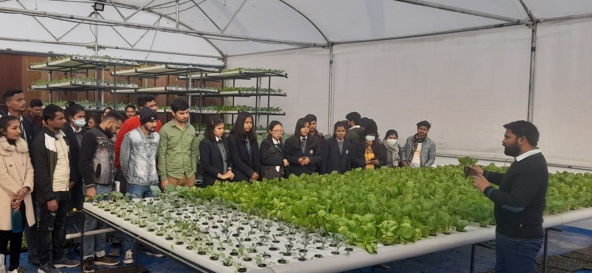 Students participating in a hydroponic farming internship and agripreneurship training program
