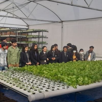Students participating in a hydroponic farming internship and agripreneurship training program