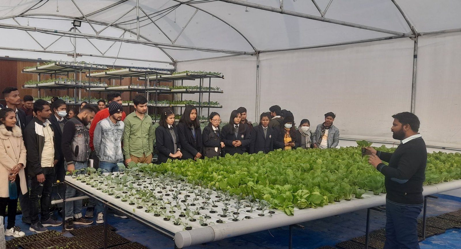 Students participating in a hydroponic farming internship and agripreneurship training program