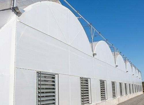 Long white plastic greenhouse with arched roof and vented side walls beside a dirt road under a clear blue sky.