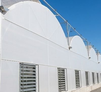 Long white plastic greenhouse with arched roof and vented side walls beside a dirt road under a clear blue sky.