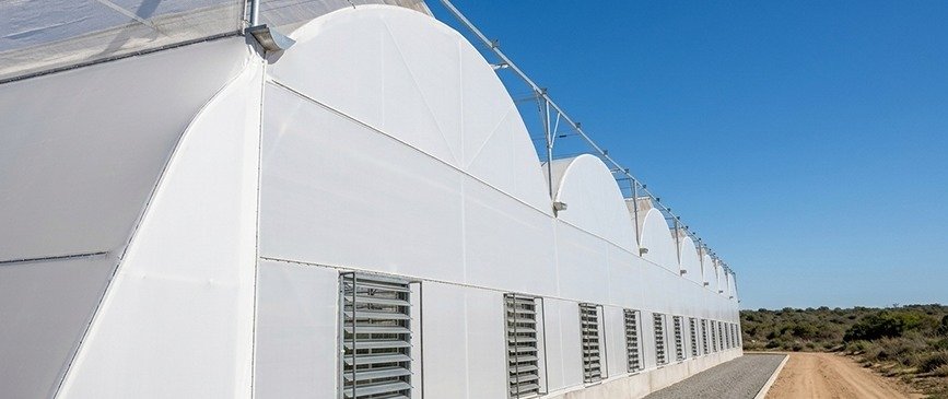 Long white plastic greenhouse with arched roof and vented side walls beside a dirt road under a clear blue sky.