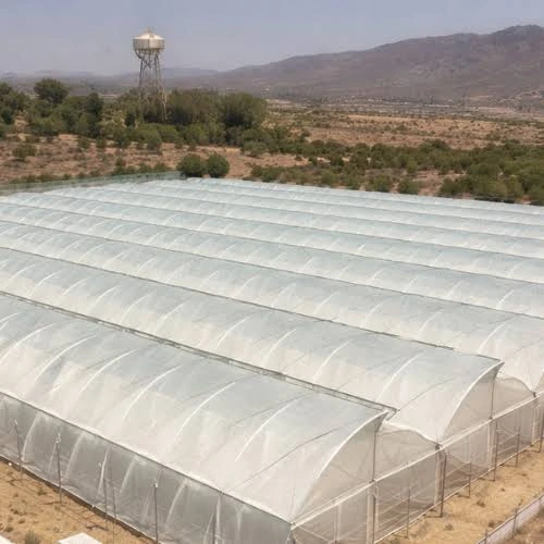 Polyhouses