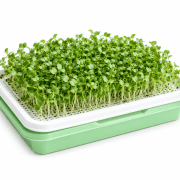 Microgreens Growing Tray | Soil-Free Seed Germination Kit for Sprouts