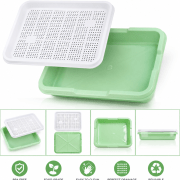 Microgreens Growing Tray | Soil-Free Seed Germination Kit for Sprouts