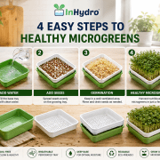Microgreens Growing Tray | Soil-Free Seed Germination Kit for Sprouts