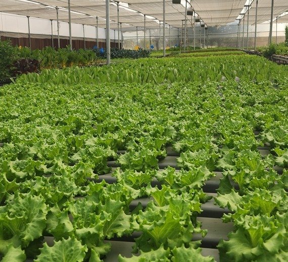 INHYDRO farming infrastructure